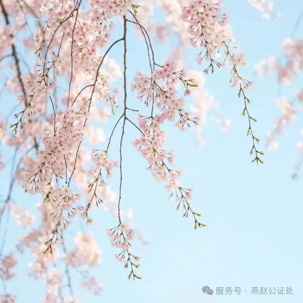 清明节办公安排